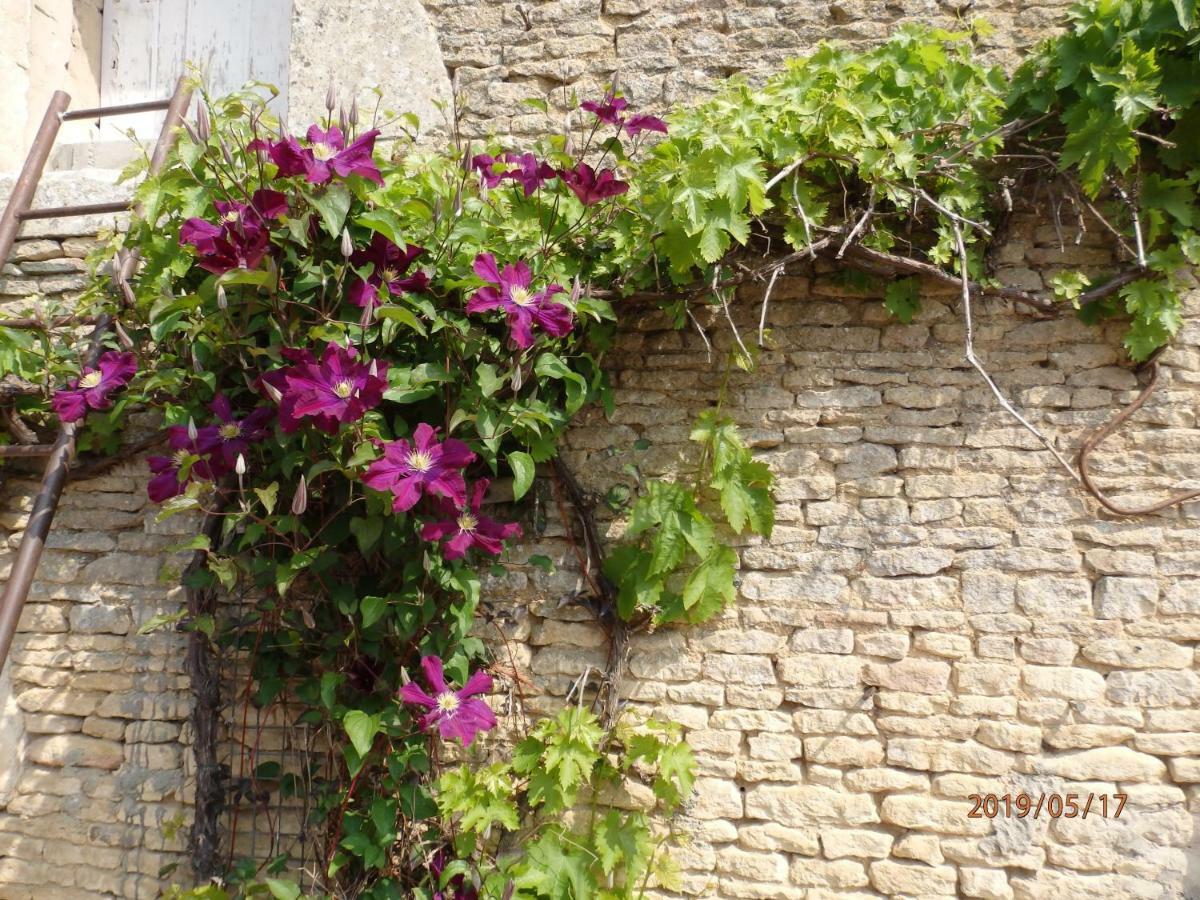 Safraniere De La Venelle Du Moulin Bed & Breakfast Jort Екстериор снимка